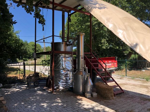 Distilasyon